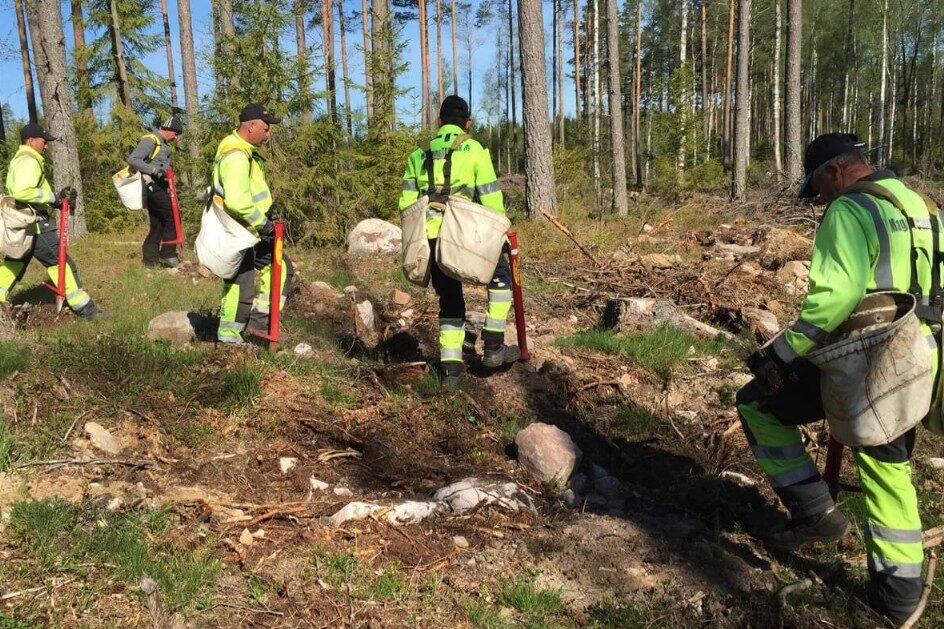 Plantering