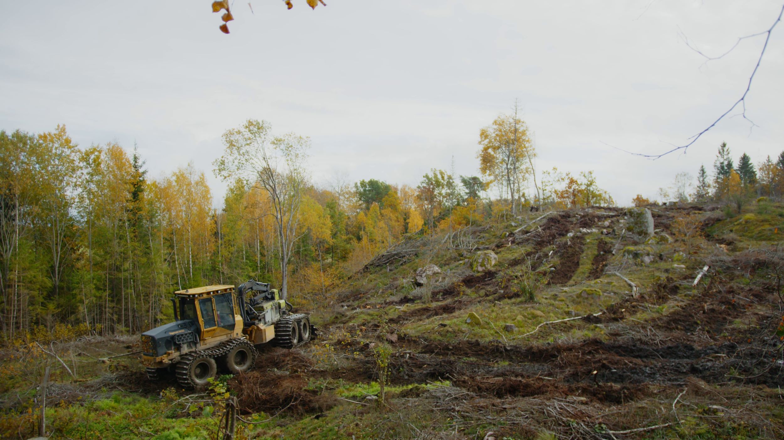 Soil preperations